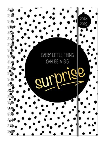 Collegetimer Surprise 2018/2019 - Schülerkalender A5 - Weekly - Ringbindung - 224 Seiten