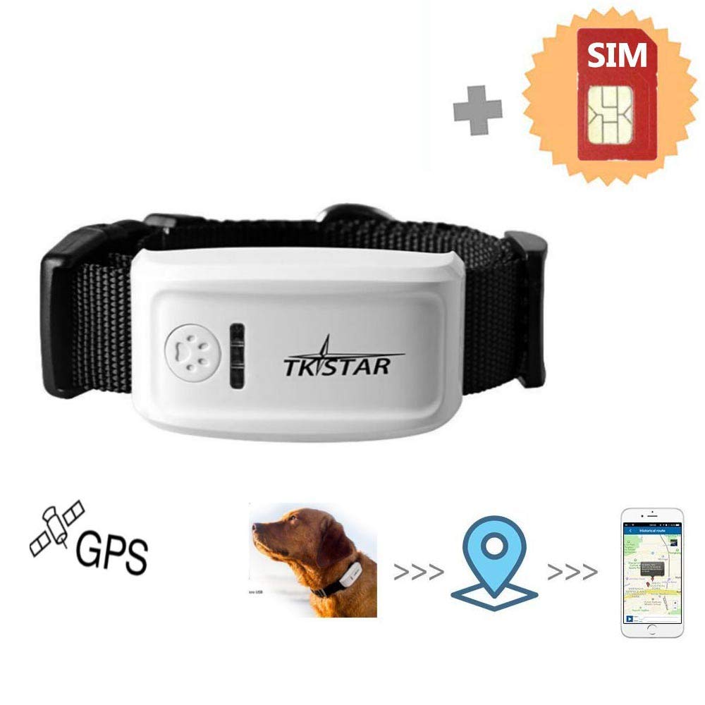 Tractive GPS Pet Tracker Dog Gadgets Store