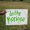 Aduna Organic Moringa Superleaf Powder 275g - Image 7