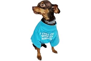 ShopINess Simpatica Maglietta Cane Gatto Animali con la frase: Vivo ancora con i miei Genitori (Azzurro, M)