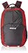 American Tourister Red Laptop Backpack (ZAP 2016) RS.1505.00