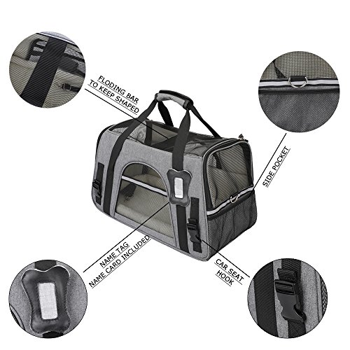 Petshoney Nouveau Sac De Transport Souple Pour Chat Et Petit