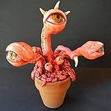 Einfach zu pflegen, eine gute Gartenpflanze.