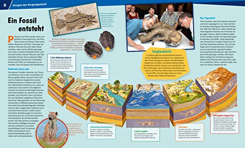 WAS IST WAS Band 69 Fossilien. Spuren des Lebens (WAS IST WAS Sachbuch, Band 69) - 5