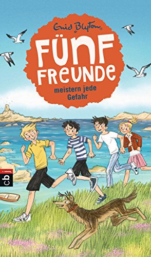 Fünf Freunde meistern jede Gefahr (Einzelbände 22)