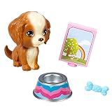 Hogar y Muebles, Vivienda, Mascotas, Perro
