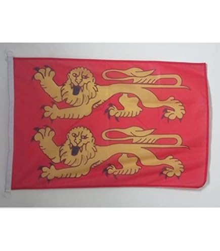 AZ FLAG - Drapeau Fleur De Lys Bleu Et Or - 45x30 Cm - Pavillon Nautique Royal Français Spécial Bateau Et Extérieur En Maille Bloquée Avec Anneaux Plastiques Intégrés - 30g