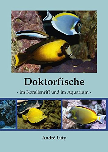 Download Doktorfische im Korallenriff und im Aquarium