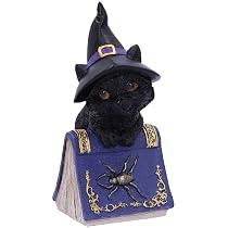 Figurine Chat Sorcière Hocus Nemesis Now - Petit Chat Noir Familier Avec Livre De Sorts, 12,7 Cm - Décoration Fantastique
