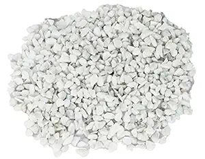 Maalavya Garden, Aquarium, Indoor Outdoor Decoration Marble Pebbles Stone, 1kg (White)