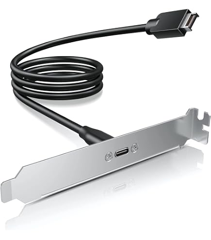 SinLoon USB 3.1 Cavo di prolunga tipo C con connettore per pannello frontale con vite per montaggio a pannello Cavo adattatore da 10 Gbps tipo E 20 pin maschio a USB-C femmina 30 cm/11,8 inch (1 Port