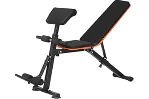 Panana Multi-Functional Gym Bench Adjustable Weight Bench Roman Chair Adjustable Situp Decline Flat Bench for Hyper Back Extension, Full-Body Workout