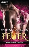 Feuer - Flammendes Herz: Feuer 6 - Roman by 