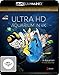 Produktbild Aquarium (4K Ultra HD) [Blu-ray]