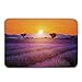 Produktbild Kinhevao rutschfeste Fußmatten des Lavendel-Gummirückens, idyllische Sommer-Sonnenuntergang-Landschaft mit frischem Feld und Bäume Valensole France Doormat Floor Mats Rugs