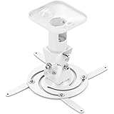 Deleycon TV Wall Bracket and Ceiling Projector Mount