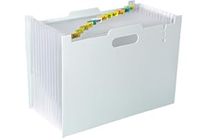DoocliB Cartella documenti A4, tasche espandibili, cartella file espandibile, 13 scomparti, A4, cartella a fisarmonica, portatile, cartella di smistamento per documenti di casa o ufficio (grigio chiar