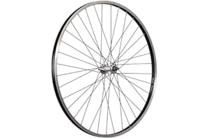 Taylor-Wheels 28 pollici ruota anteriore bici 622-19 acciaio inossidabile nero/argento