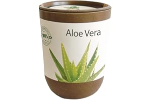 Feel Green Ecocan, Aloe Vera Exotics, Idée Cadeau (100% Biodégradable), Grow-Your-Own/Kit Prêt-à-Pousser, Le Pot Écologique Qui Croît 9 x 7 cm, Produit en Autriche