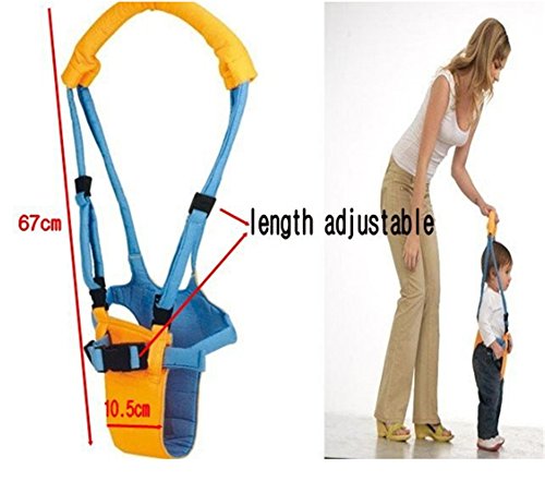 Interesting® Baby-Wanderer-Säuglingskleinkind -Kind-Sicherheitsgurt-Assistent-Weg, Gehen, Babyträger Geschirre Kinder Weg-Assistenten erlernen Kind - 4