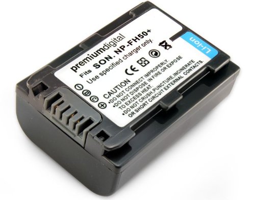 Sony Handycam HDR-XR500E Replacement Battery (Standard)