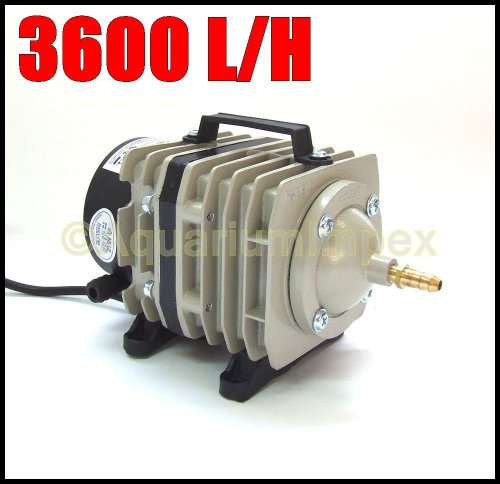AquaForte Luftpumpe/Kolbenkompressor Hailea Aco 318, 60l/min
