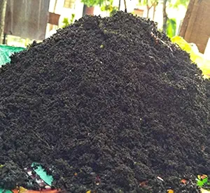Forgreen Vermicompost, Organic (1Kg)