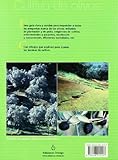 Image de CULTIVO DE OLIVOS (GUÍAS DEL NATURALISTA-HORTICULTURA)