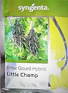 Syngenta Little Champ Hybrid Bitter Gourd Seeds 50gm - Karela