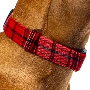 Pixie Drip | Red and White Plaid Dog Collar | Adjustable with Snap-On (Quick Release) Buckle | for Small, Medium and Large Breeds. (Large)