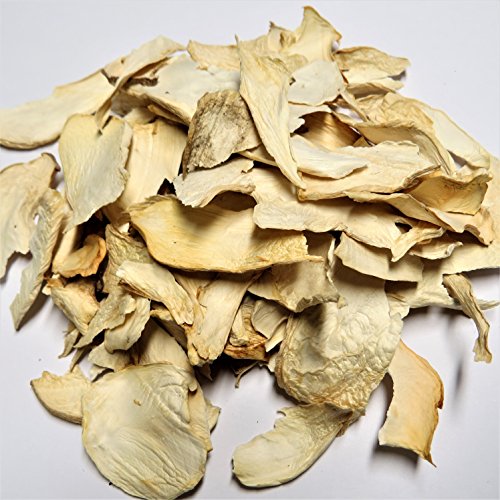 Preisvergleich Produktbild 20g Bio Kräuterseitling getrocknet - Königsausternpilz - DE-ÖKO-005 - AB 30,- EURO VERSANDKOSTENFREI in D!