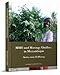 Produktbild MMS und Moringa Oleifera in Mozambique: Bettis neue Hoffnung