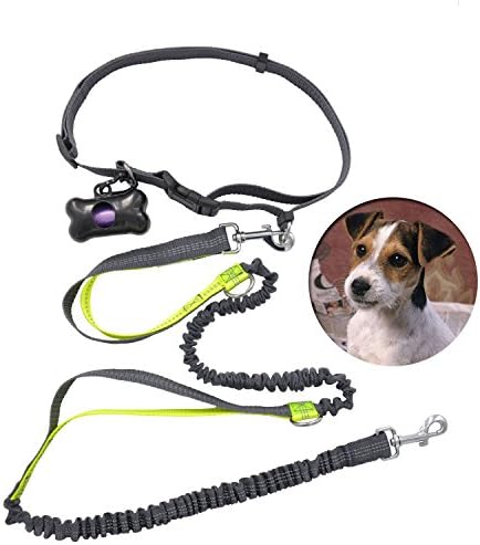 Yobee Multifunctional Dog Leash Kits, Dual Use Hands Free or Hand Held, Adjustable Walking/Running/Jogging/Bungee/Hiking/Training Leashes Suit for Most Dog Sizes, with poo bags