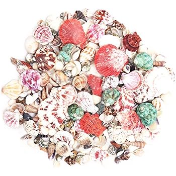 Autocollant Déco Cuisine - Motif Épicerie - 180x59,5 Cm - Adhésif Lavable Pour Frigo Et Placards
