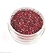 Glitter Pot - GH69 Holographic Wine Red Chunky Glitter Eye Eye shadow Nail Art Face And Body