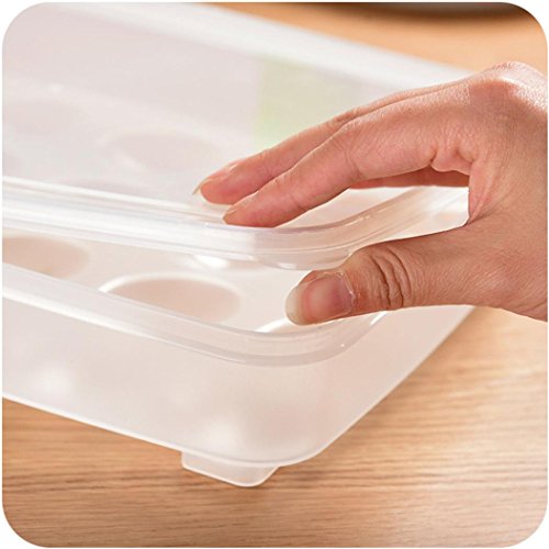 Clode® Eierbox Eieraufbewahrung Kühlschrank Transportbox für 20 Eier, Transparent, Maße 29.5 x 22.5 x 6cm (A) - 6