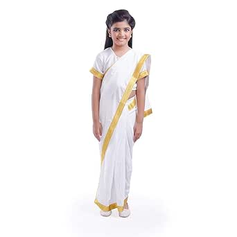 saree fancy dress