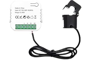 POFET Smart Meter Energy Monitor WiFi Monitoraggio dell'utilizzo dell'elettricità 80A Compatibile con Tuya Smart Life
