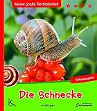 Image de Die Schnecke: Meine große Tierbibliothek