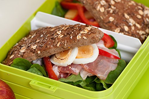 Rosti Mepal Lunchbox – TAB large – silber - 12