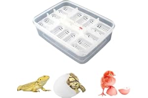 Changyeah Reptile Breeding Box, 16 Grids, Transparent Egg Incubator, Incubator for Reptile Eggs, Reptile Breeding Box, Safe Breeding Reptile Breeding Box, for Geckos (Transparent Colour)
