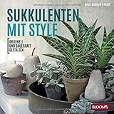  Sukkulenten mit Style: Originell und dauerhaft gestalten