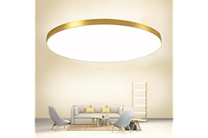 Mengjay LED Ceiling Light,LED Ceiling Light 3000K-6000K Dimmable,Round Room Light,LED Ceiling Light Bathroom for Bedroom, Kitchen, Living Room, Balcony, Office, Porch (Gold, 40W)