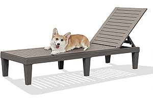 RAPTAVIS Outdoor Lounge Chair,Pool Chaise Lounge Waterproof Sunloungers,Gray