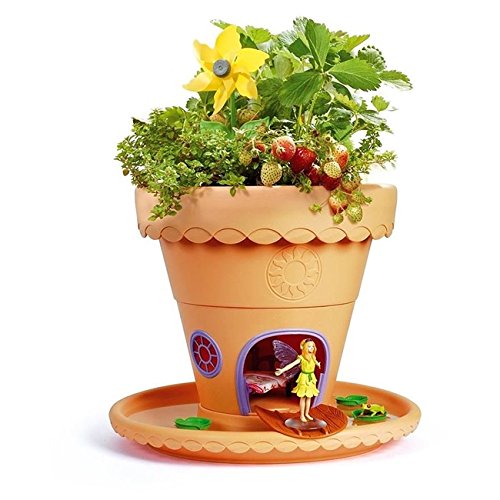 My Fairy Garden Lilypad Gardens