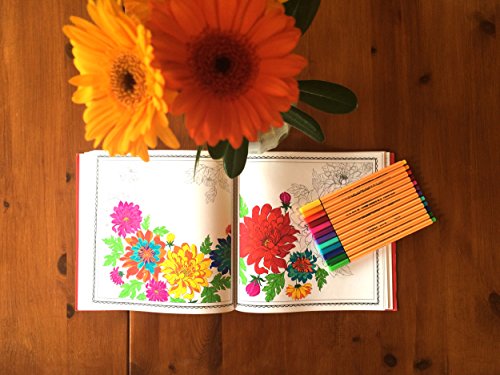 Stabilo KREATIVE AUSZEIT Erwachsenen-Malbuch (78 filigrane Motive, inklusive point 88 Fineliner) 15er Pack - 4