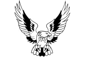 ‎MORECHIOCE Auto Adler Aufkleber, MoreChioce Auto Motorhauben Abziehbilder Körper Abdeckung Anti-Kratzer Motorhaube Karosserie Abziehbild PET Autoaufkleber Auto Racing Aufkleber für LKW SUV, Schwarz