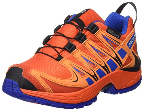 « Click to Enlarge and to go to Amazon »