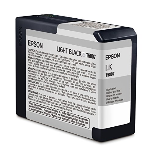 Epson T5807 Cartouche d'encre d'origine 1 x noir clair