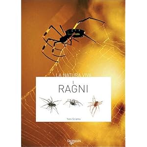 I ragni